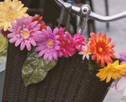 Meer medewerkers op de fiets!